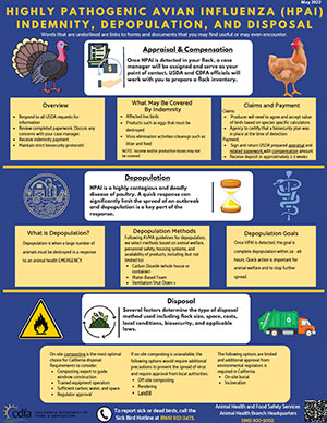 Indemnity, Depopulation, and Disposal Infographic