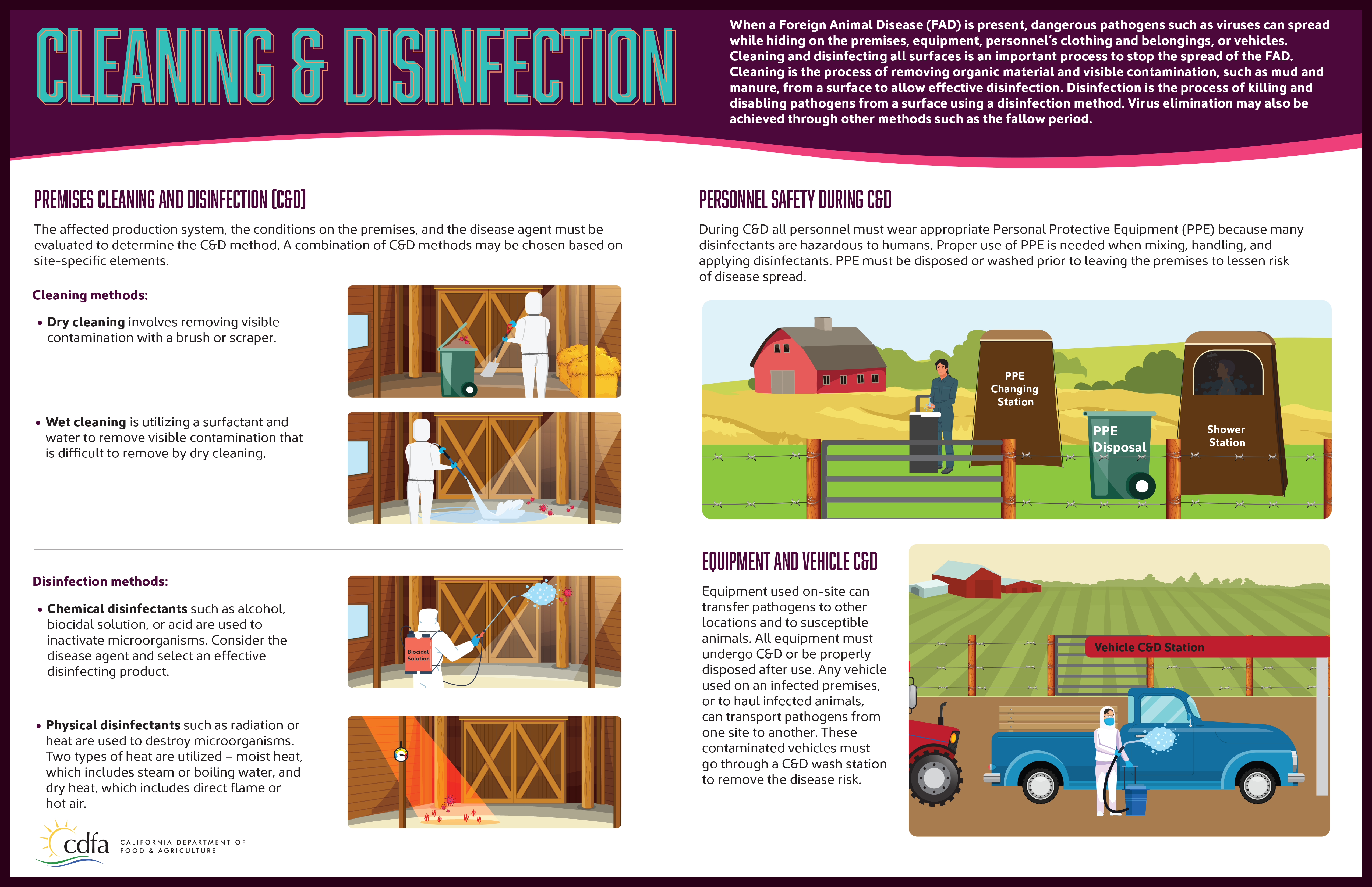 cleaning and disinfection Infographic