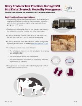 Dairy Producer Best Practices During H5N1 Bird Flu in Livestock: Mortality Management document