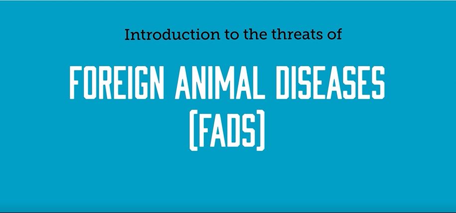 Threats of Foreign Animal Diseases