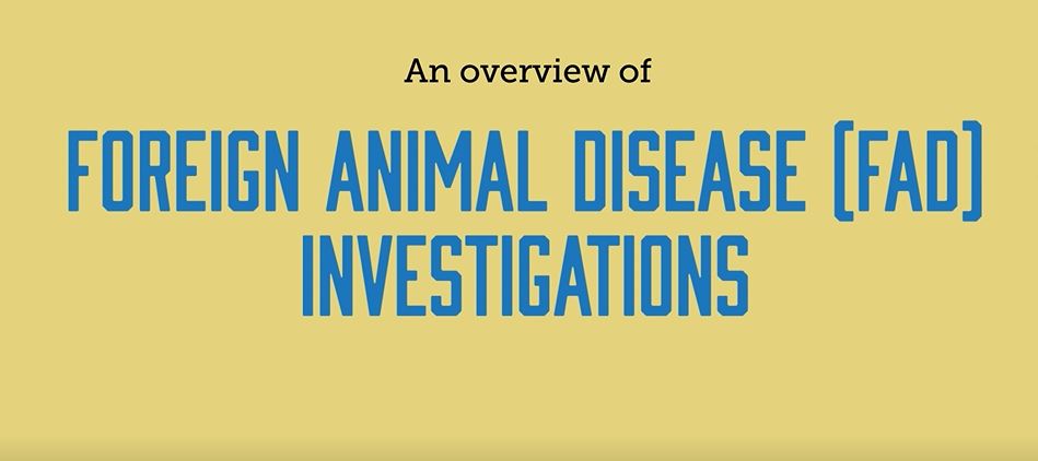 Overview of Foreign Animal Disease