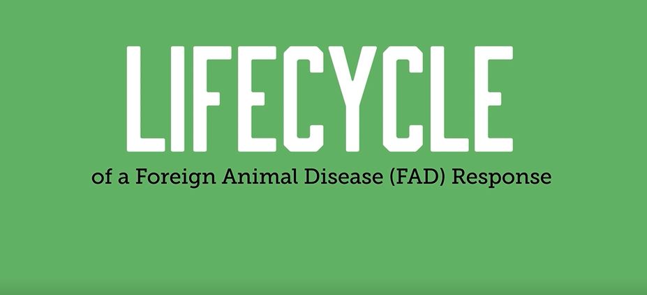 Lifecycle of a Foreign Animal Disease Response