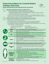 Biosecurity Guidance for Livestock Haulers Visiting a Dairy Farm Infographic