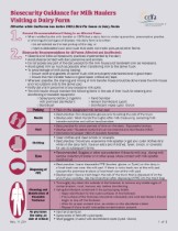 Biosecurity Guidance for Milk Haulers Visiting a Dairy Farm Infographic