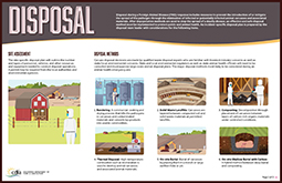 Disposal Infographic thumbnail