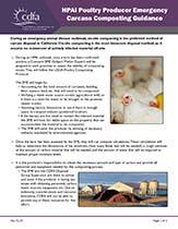 HPAI Poultry Producer Emergency Carcass Composting Guidance Infographic