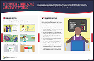 Information and Intelligence Management Infographic