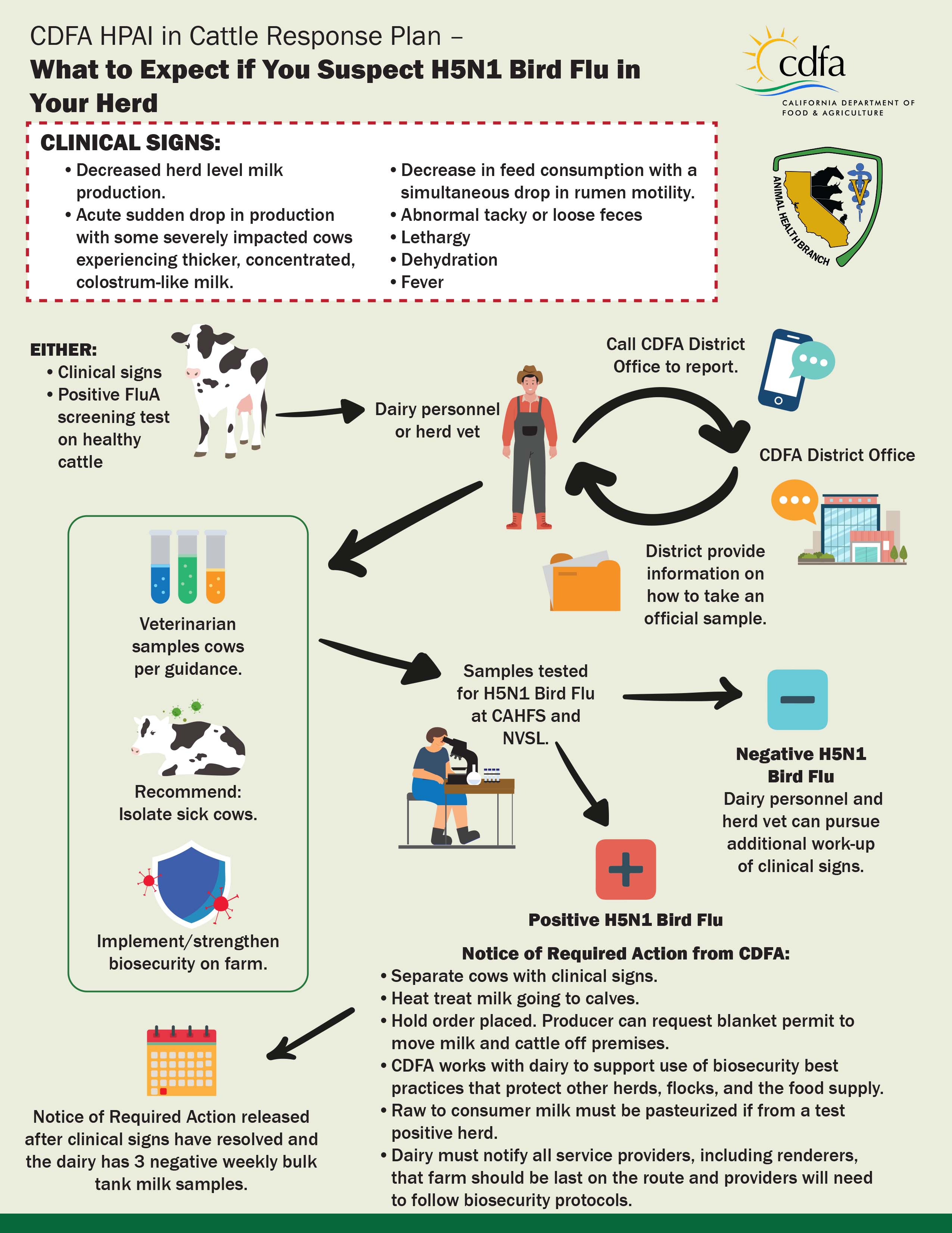 What to Expect if You Suspect H5N1 Bird Flu in Your Herd Infographic