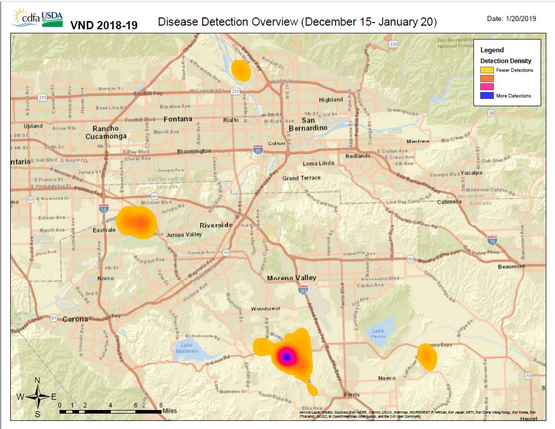 Disease Detection Overview (November 15 - January 5)