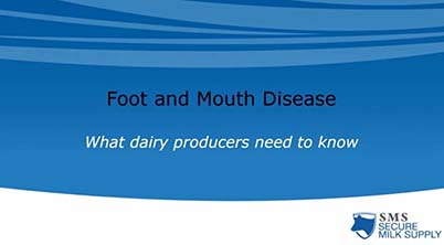 intro image to foot and mouth disease video