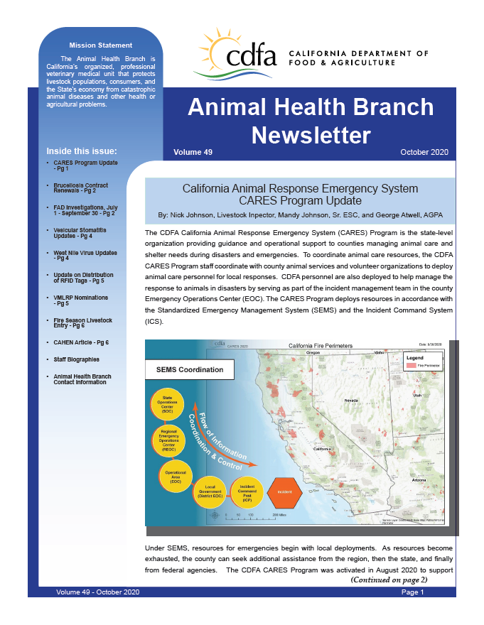 October 2020 Newsletter front cover