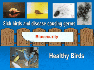 Biosecurity poster