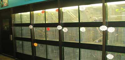 Bird cages behind a glass barrier
