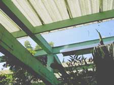 Open access for wild birds is not good biosecurity