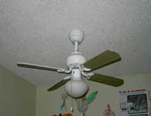 Ceiling fans are dangerous for birds