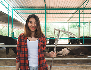 woman farmer with cows cowshed dairy farm farming