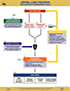 Regulatory Framework Eggs thumbnail