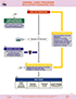 Regulatory Framework Veal thumbnail