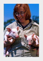 Technician with two pigletts