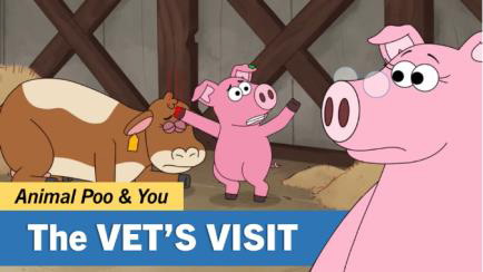 The Vet's Visit lesson thumbnail