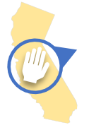 California hand pointer
