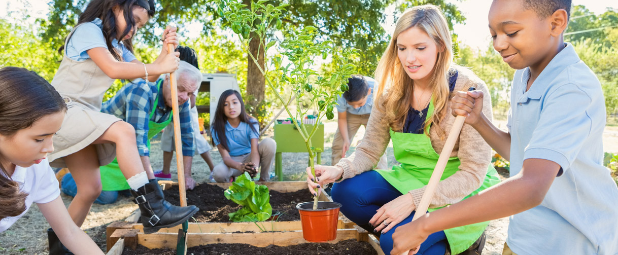 Children working a garden with their teachers