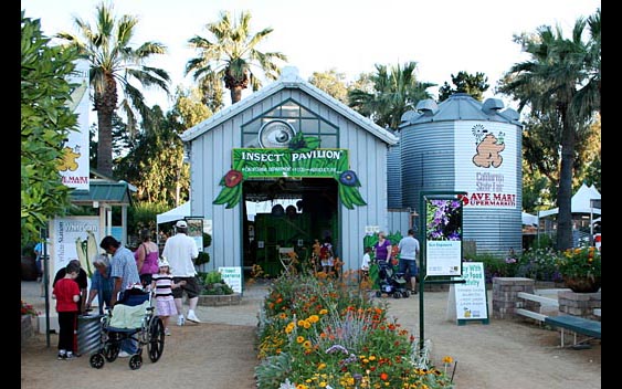 The Insect Pavillion at the State Fair