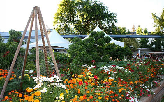 Demonstration farms show kids where their fruits and veggies come from. California Exposition & State Fair, Sacramento