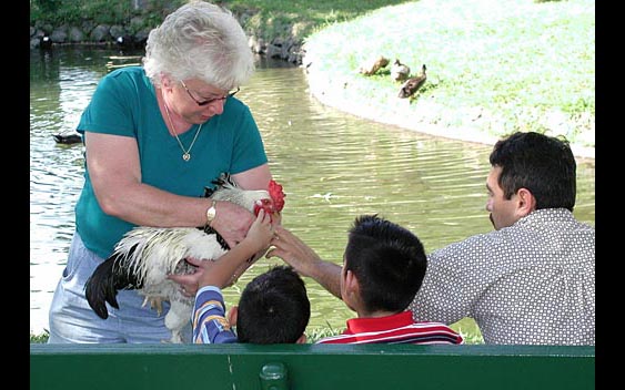 Fairgoers meeting a new feathered friend. Redwood Empire Fair, Ukiah