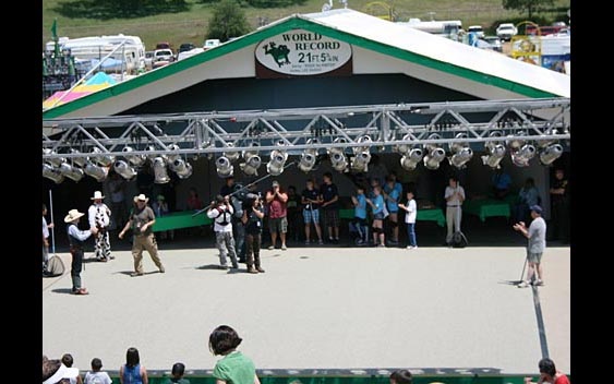 The world-famous frog jump. Calaveras County Fair & Jumping Frog Jubilee, Angels Camp