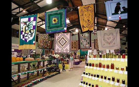 From quilts, to jams, to vegetables - there's an exhibit category for everyone! Lake County Fair, Lakeport