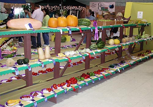 A colorful display of locally grown produce. Lake County Fair, Lakeport