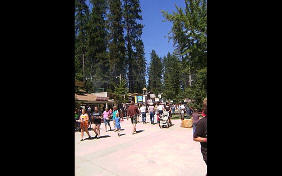 Visit your local fair for all your favorite fair foods - from corn dogs to cotton candy, and everything in between. Nevada County Fair, Grass Valley