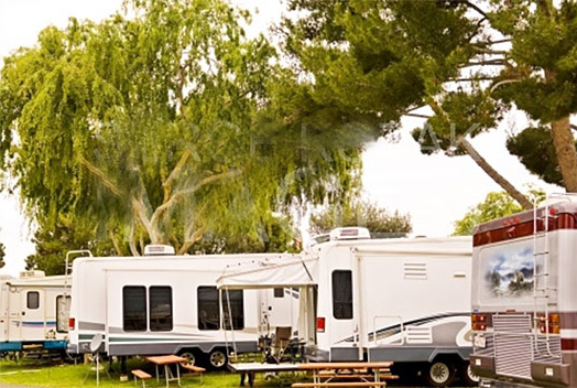 many RVs