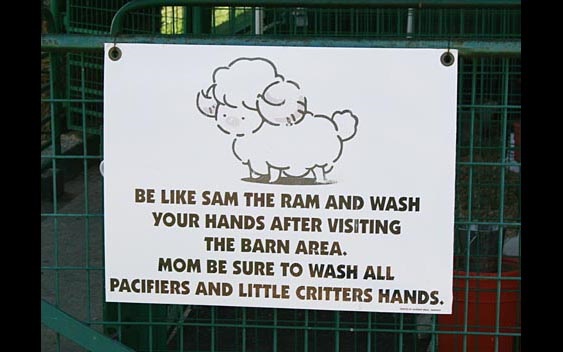 Remember to always wash your hands after visiting the animals. Calaveras County Fair, Angels Camp