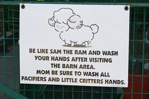 Remember to always wash your hands after visiting the animals. Calaveras County Fair, Angels Camp