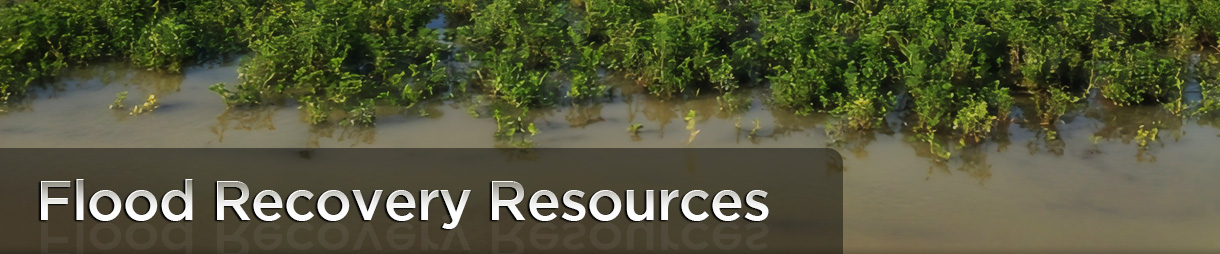 Flood Recovery Resources