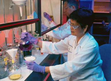 new scientifici method