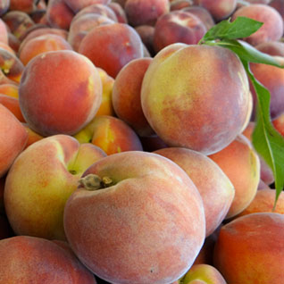 Pomegranites