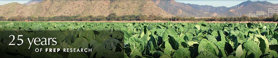 20 Years of FREP Research - Field of green crops near mountains