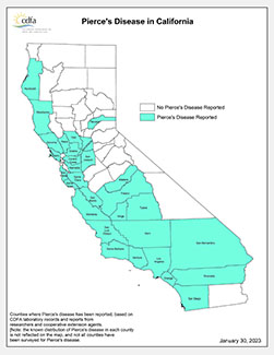 PD Interactive Map