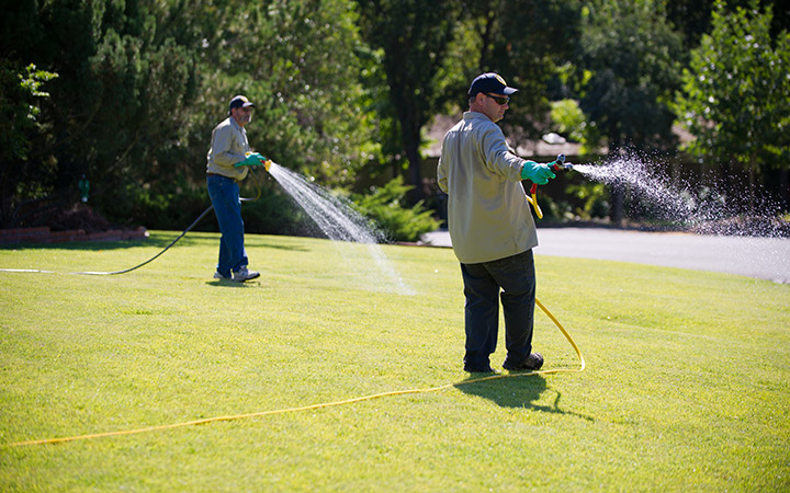 Crew spraying treatment on lawn