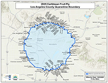 Caribbean Fruit Fly Quarantine RCaribbean Fruit Fly Quarantine