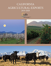 2020 Exports Publication Report