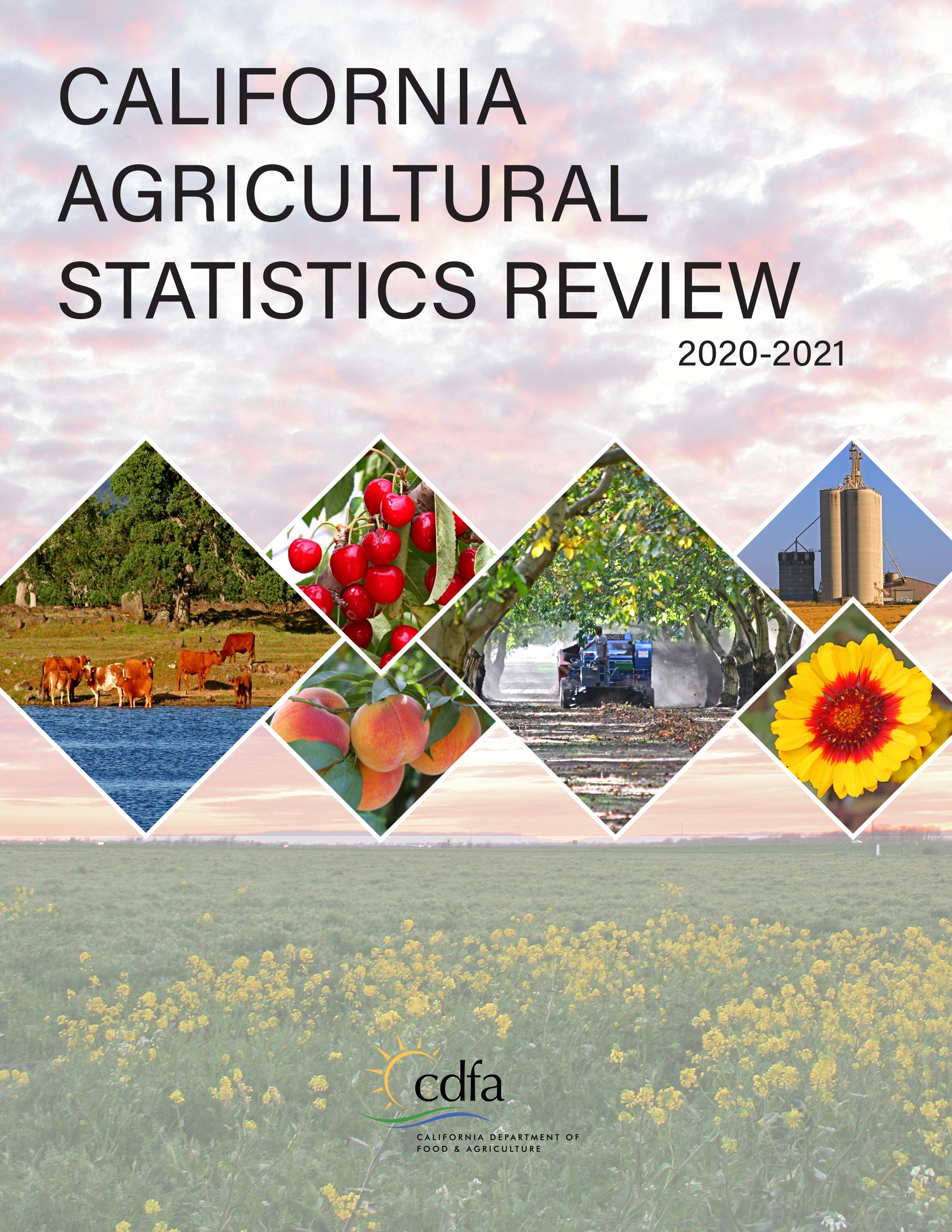 2021 Ag Statistics Report