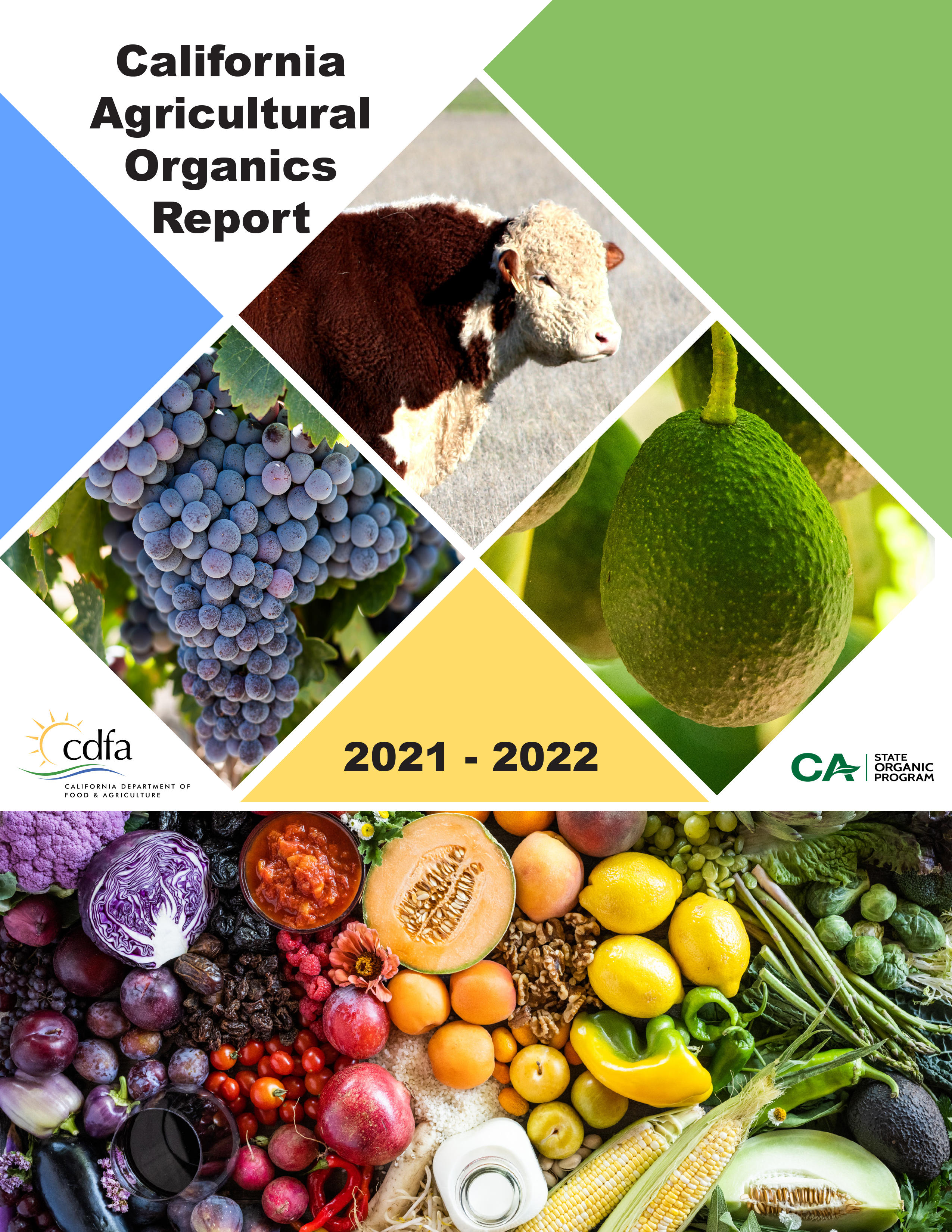 2022 Organics Publication Report