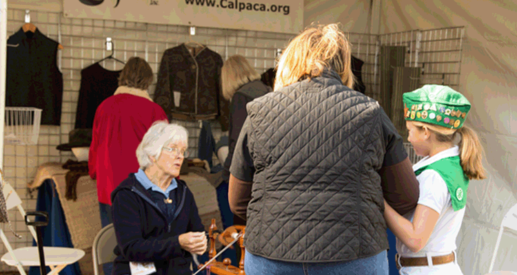 Alpaca booth