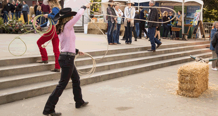 rodeo queen using a lasso