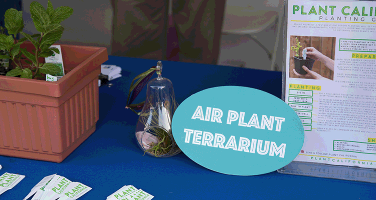 plant california booth plant california booth