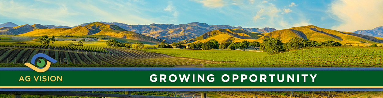 AG Vision - Growing Opportunity